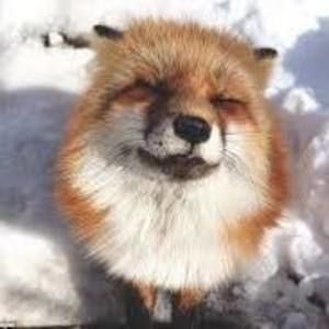 Meet your Posher, Ana